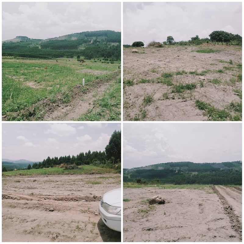 land for rent
